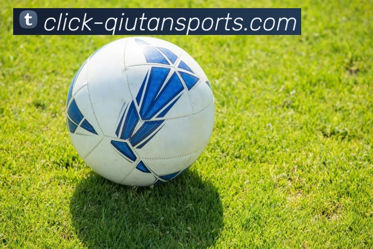 球探体育APP 封面图